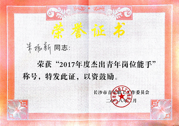 j9国际集团智能朱振新荣获长沙市2017年度卓越青年岗位能手