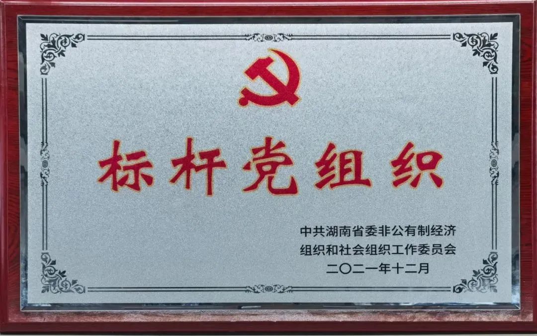 党建品牌亮起来！j9国际集团智能党委获评“标杆党组织”